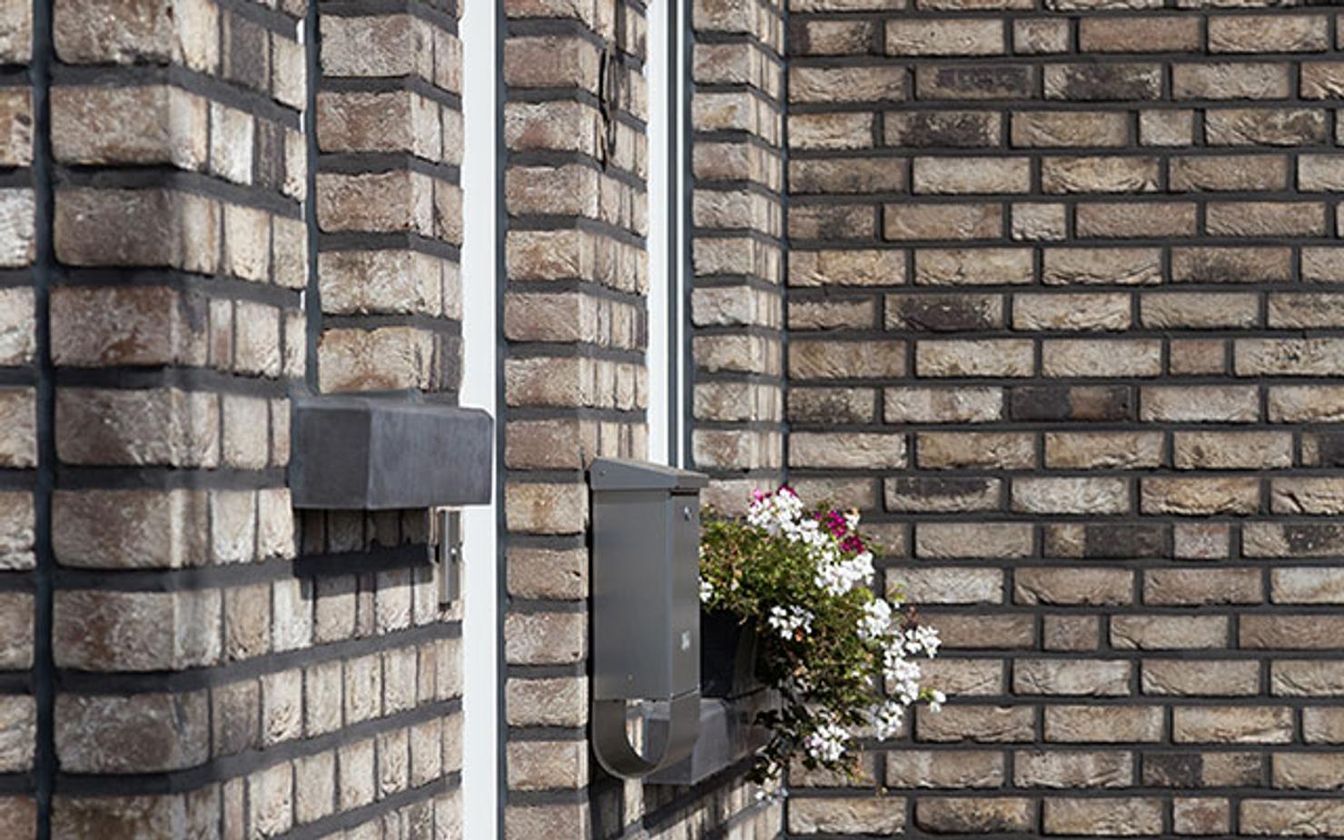 Vecto application 11