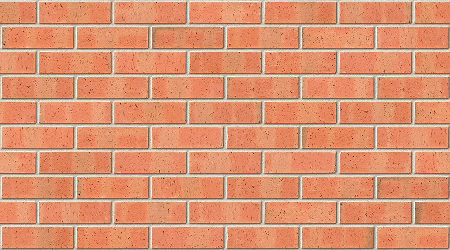 Autumn Dragface with Ivory mortar