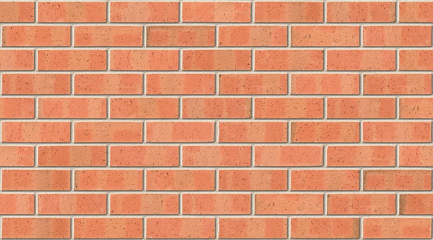 Autumn Dragface with Ivory mortar