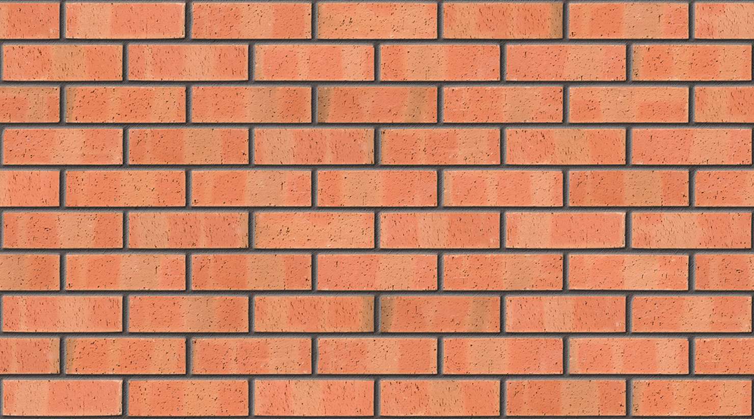 Autumn Dragface with Dark Grey mortar