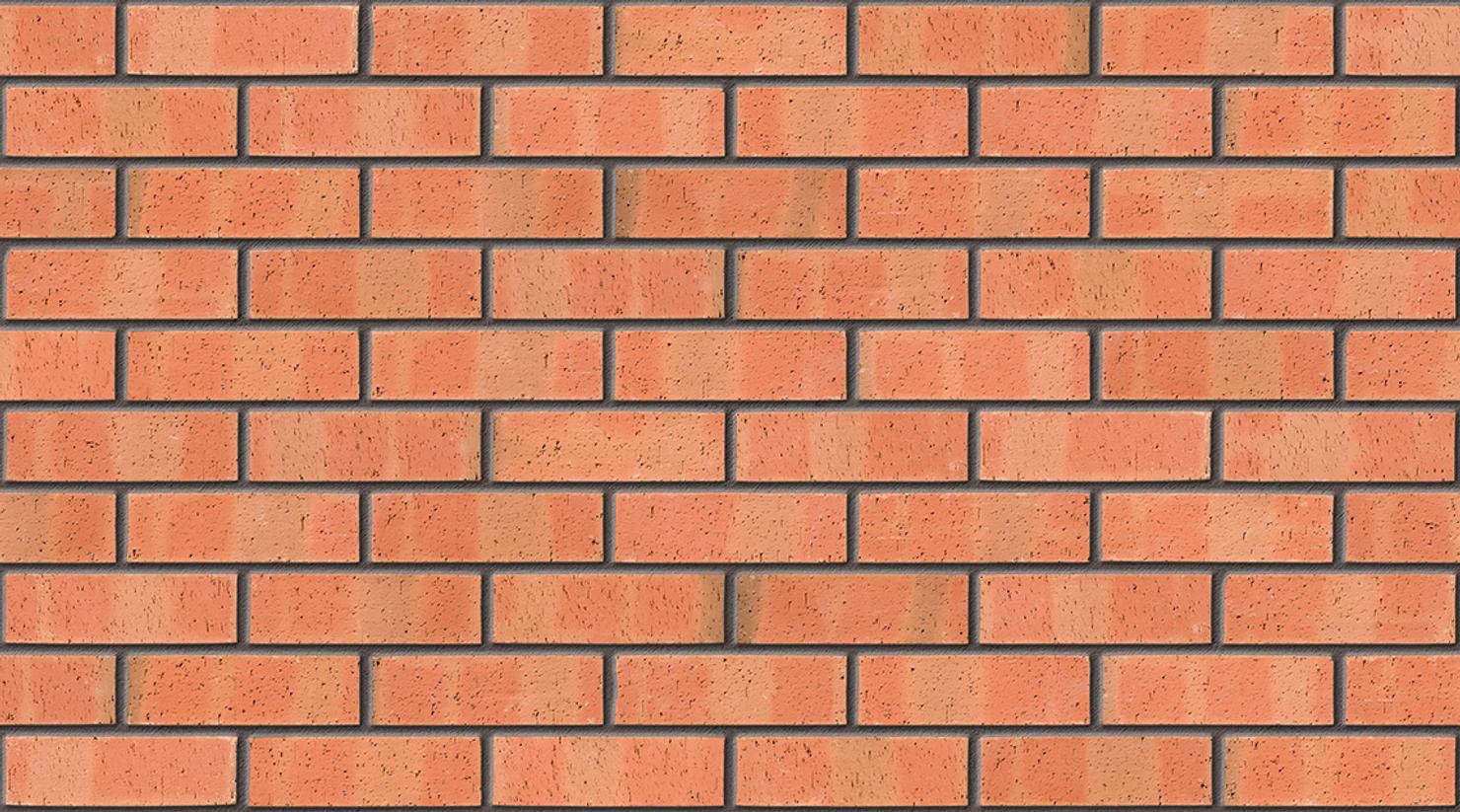 Autumn Dragface with Dark Grey mortar