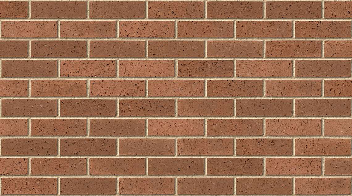 Brown Dragface with Buff mortar
