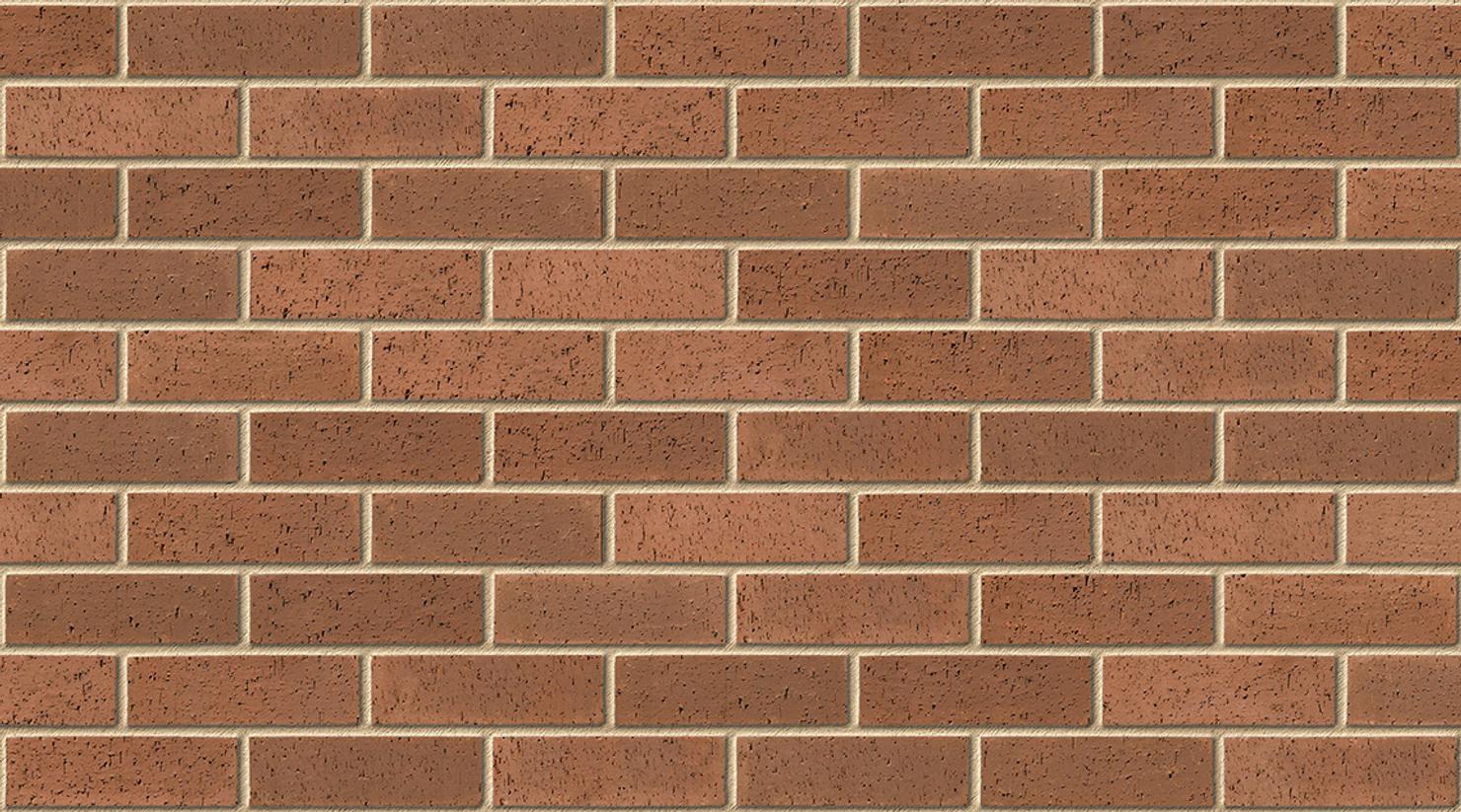 Brown Dragface with Buff mortar