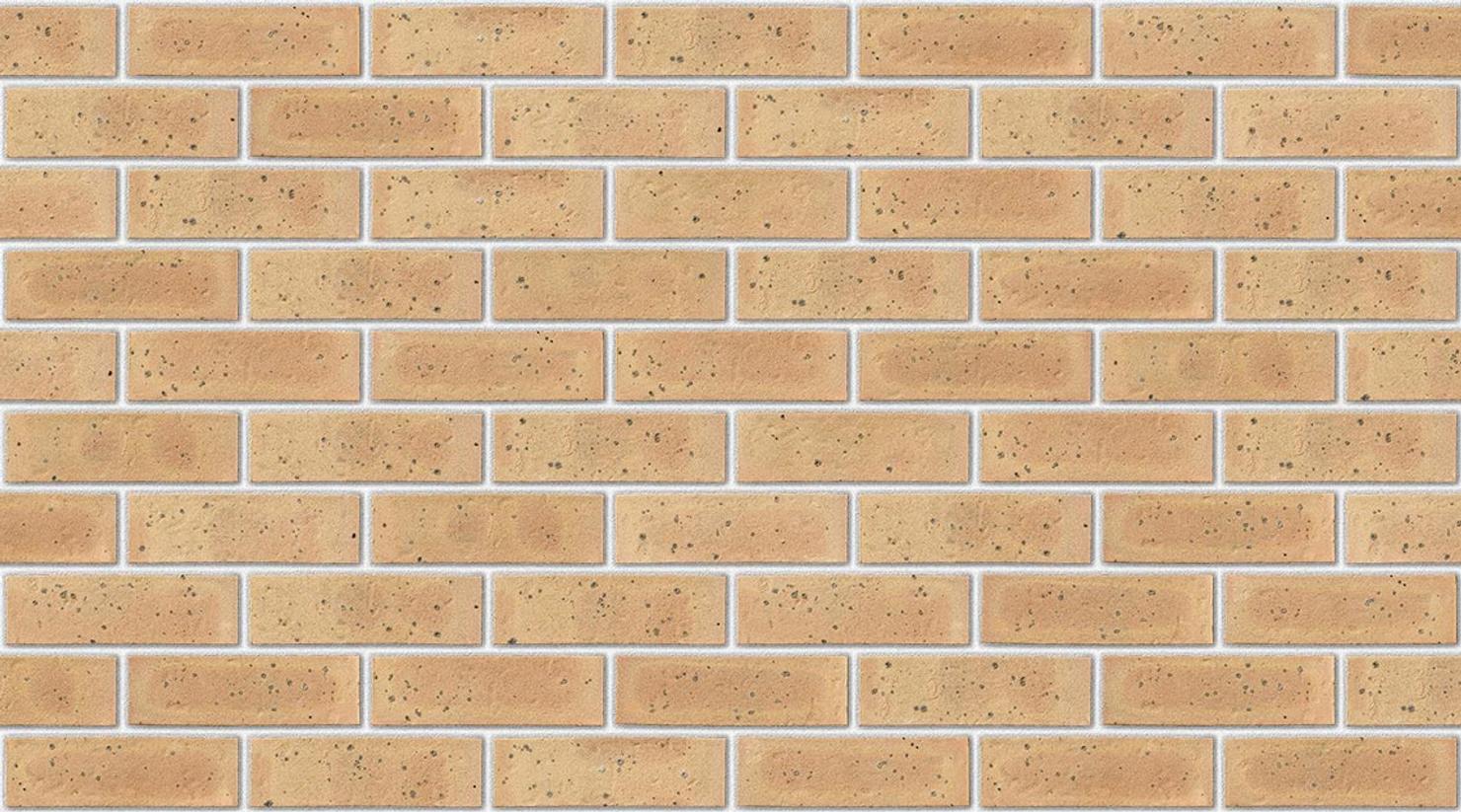 Sandalwood Yellow with White mortar