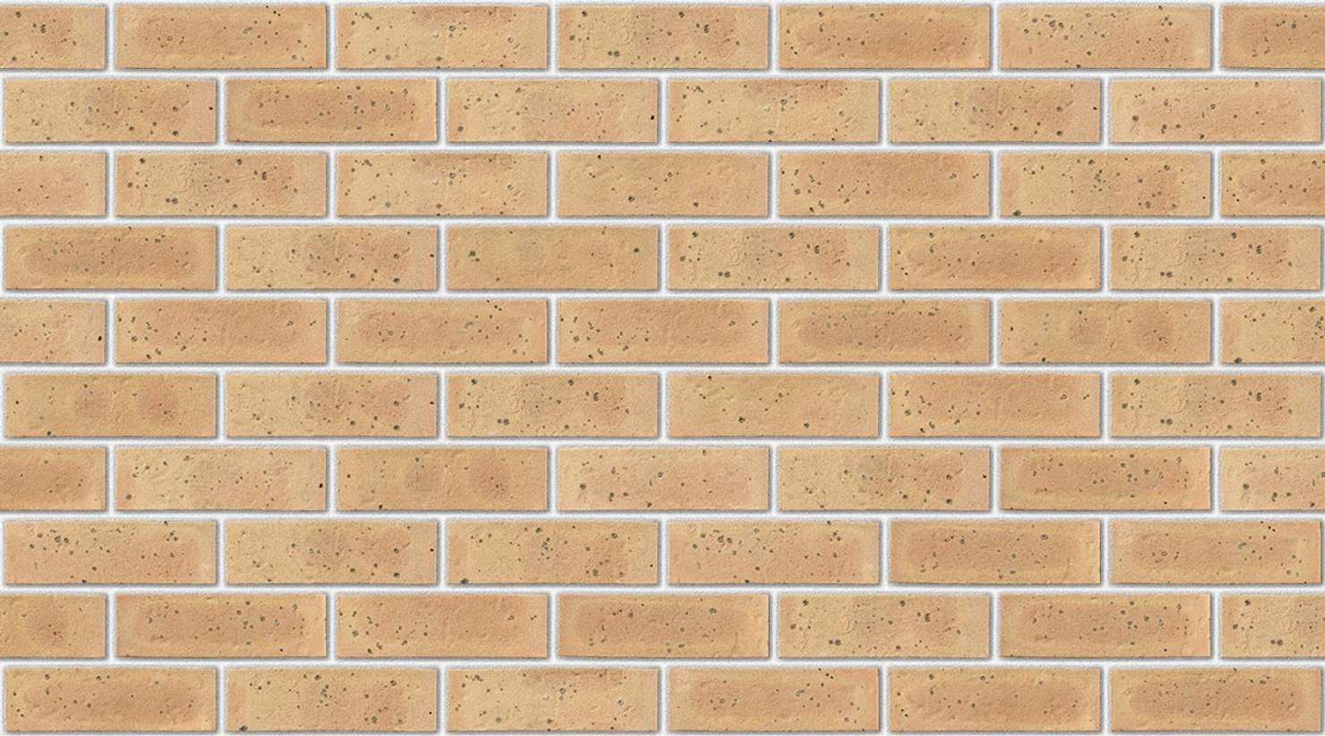 Sandalwood Yellow with White mortar