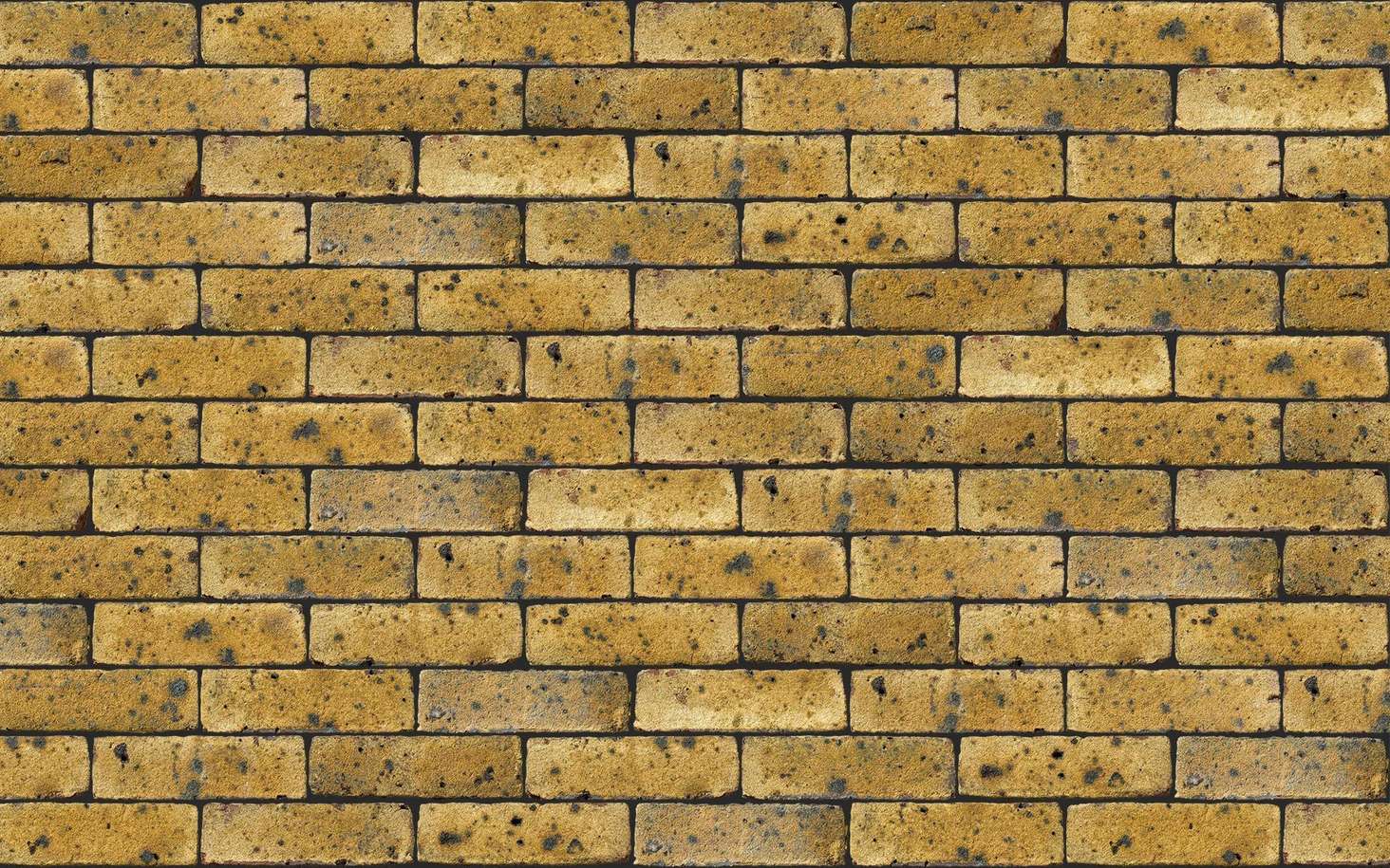 FLB Danehill Yellow