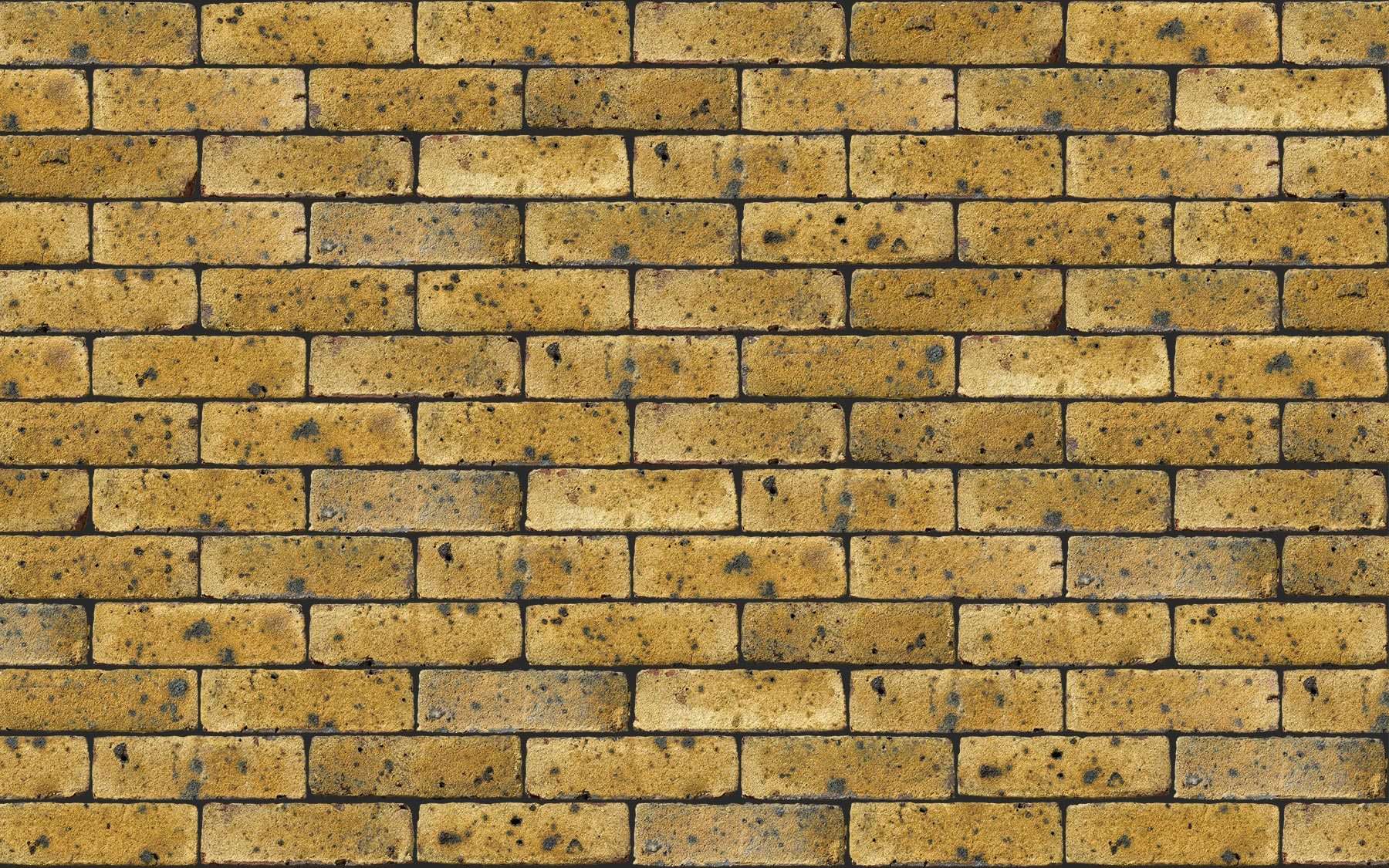 FLB Danehill Yellow