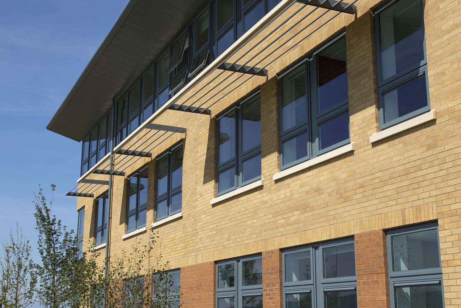 Village Golden Thatch application 3