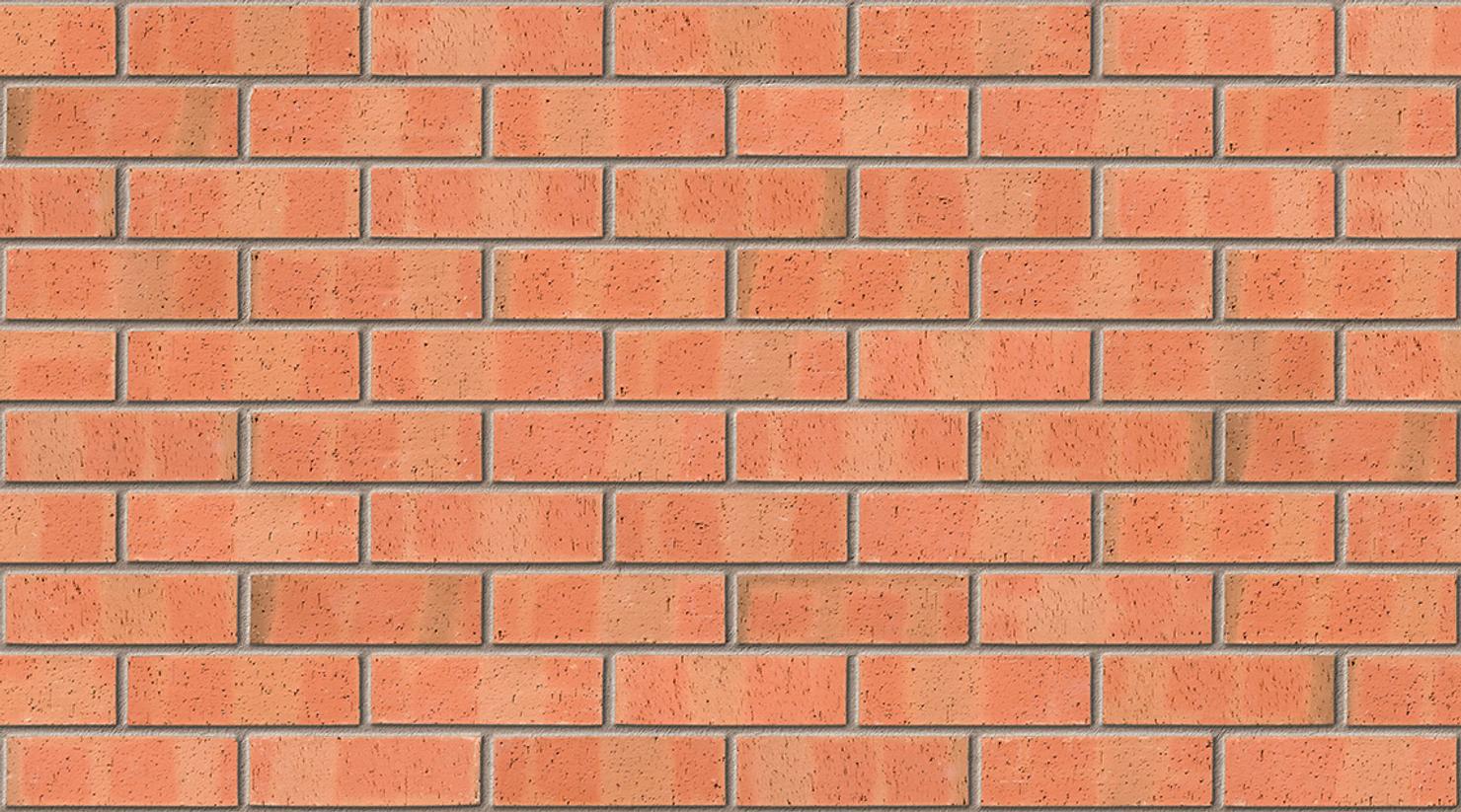 Autumn Dragface with Natural mortar