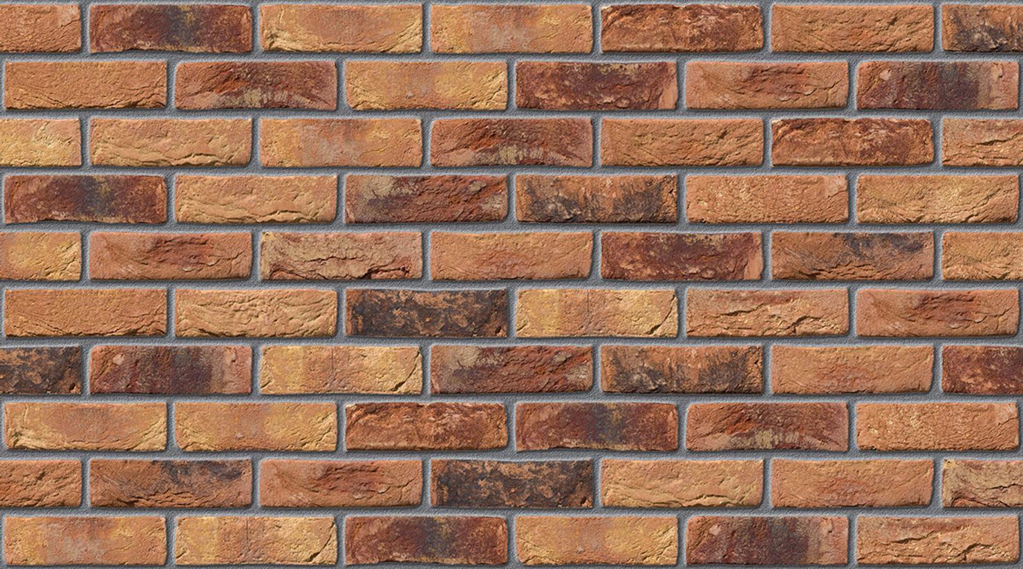 Primula with Mid Grey mortar