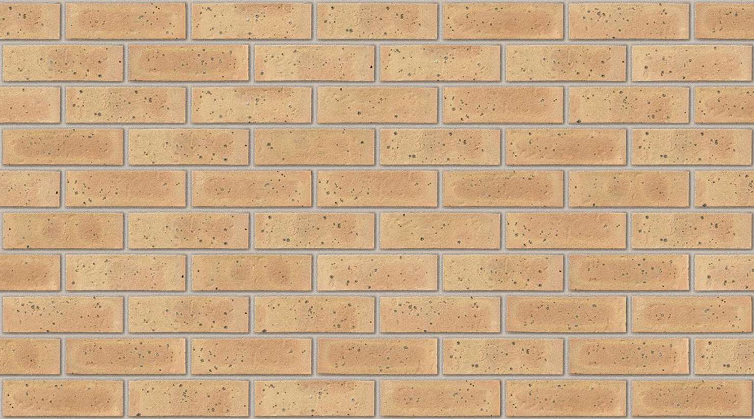 Sandalwood Yellow with Ivory mortar