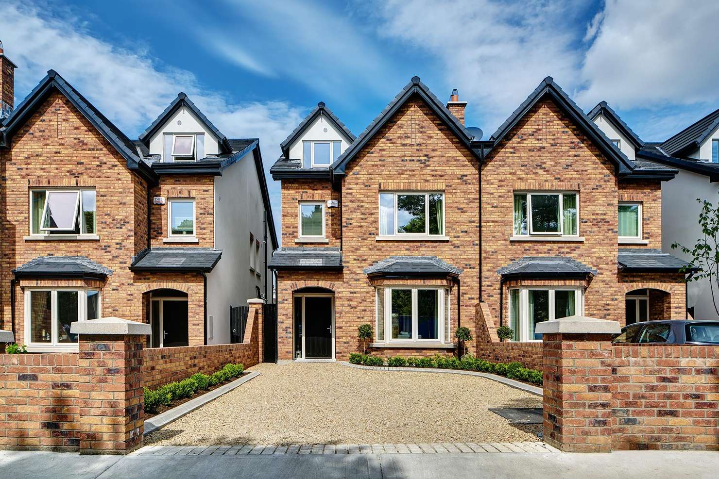 Primula application 3