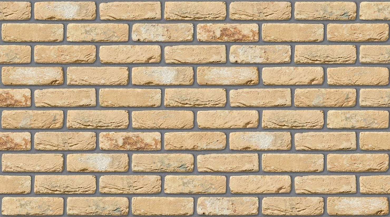 Oude Kuststeen with Mid Grey mortar