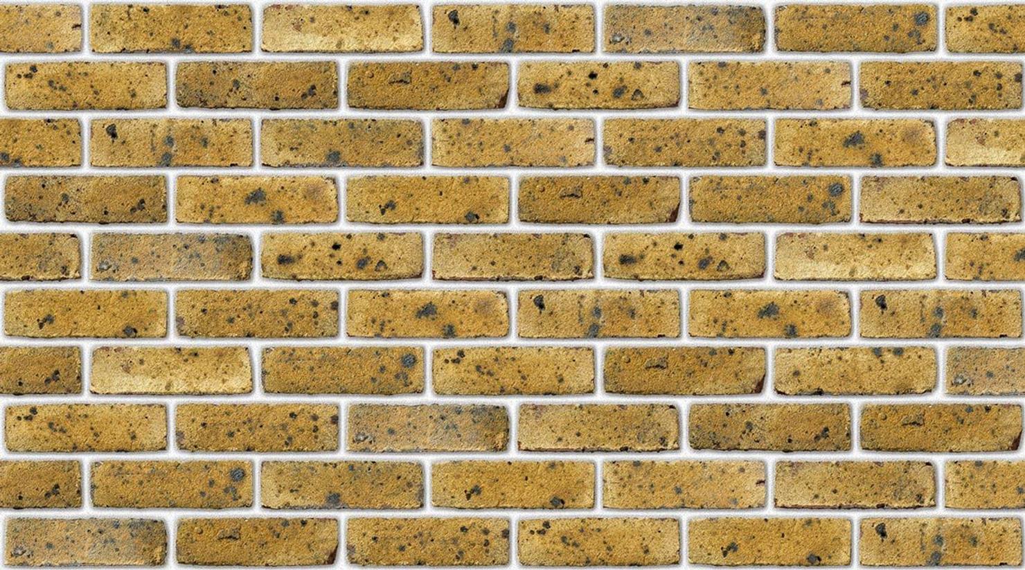 FLB Danehill Yellow with White mortar
