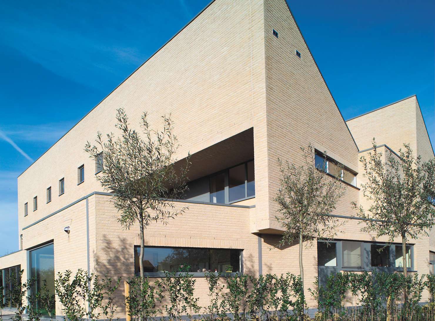 Lindebloem application 1