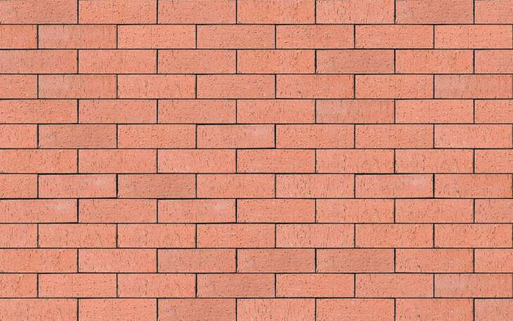 County Red Dragfaced