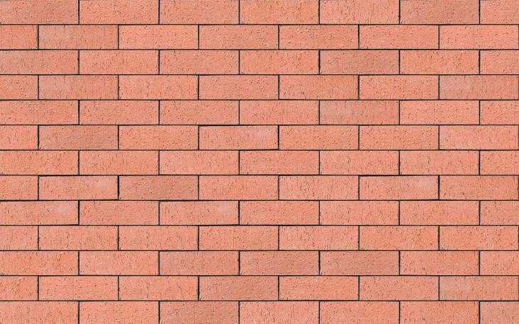 County Red Dragfaced