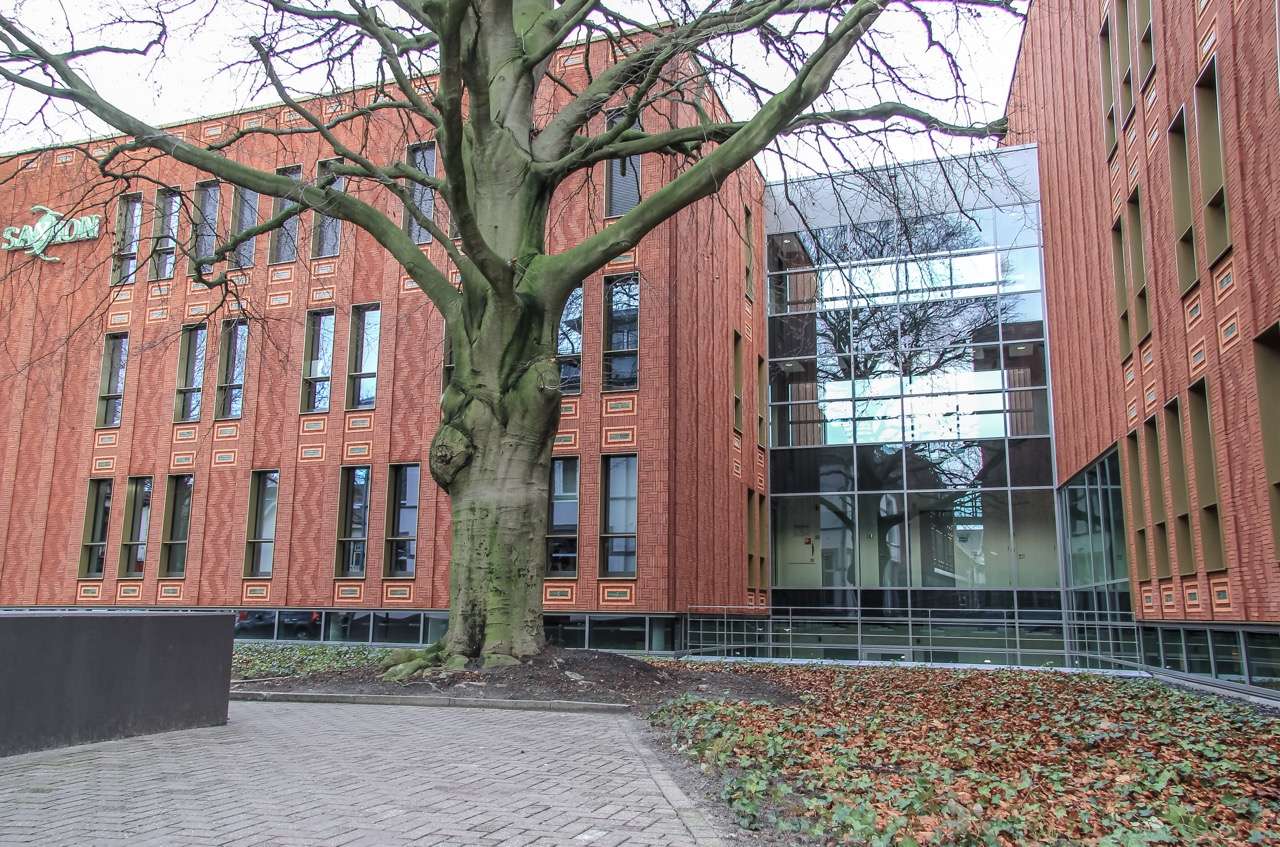 Saxion University