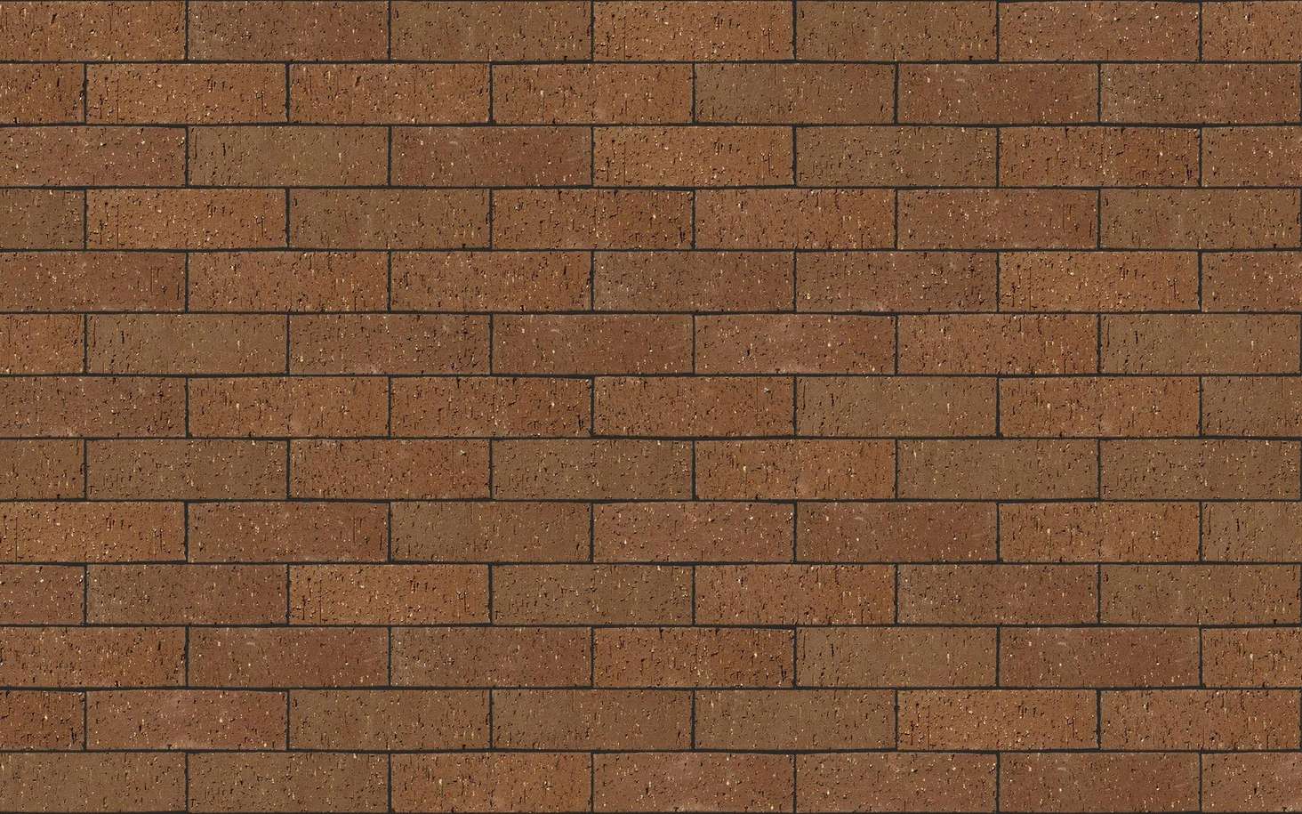 Staffordshire Brown Dragfaced