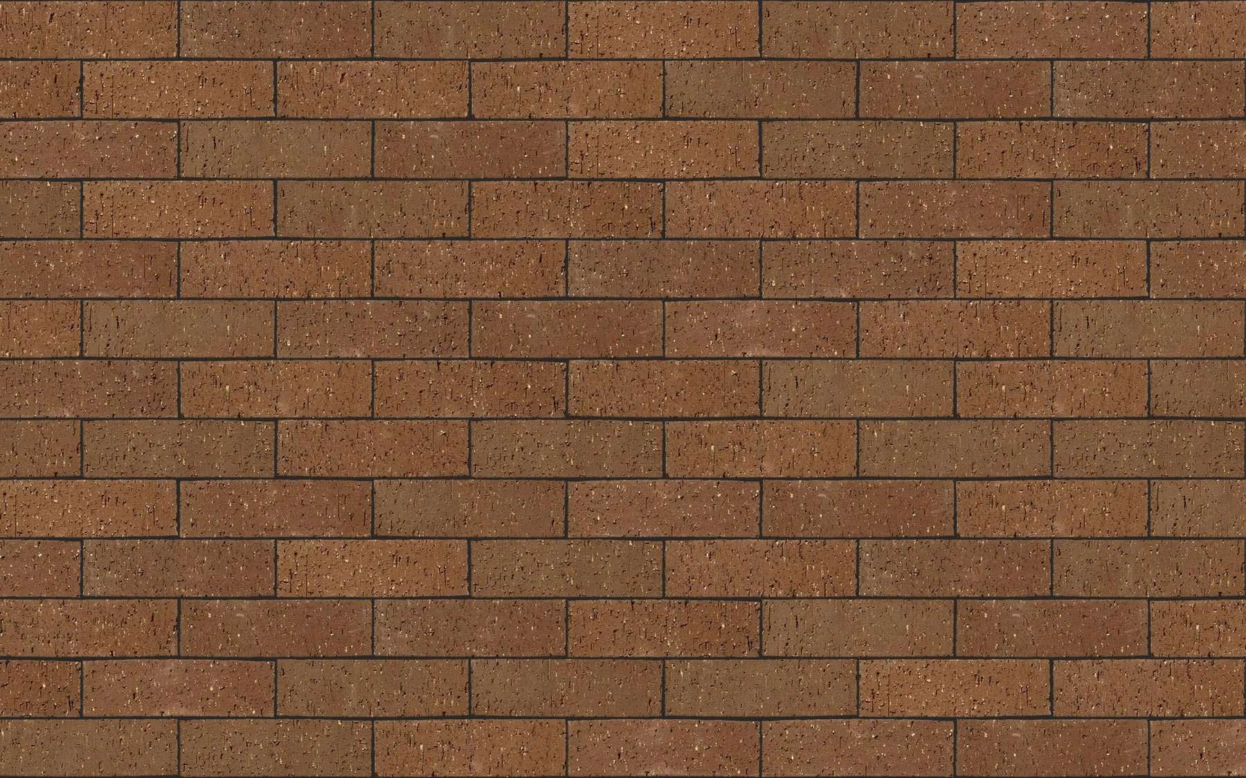 Staffordshire Brown Dragfaced