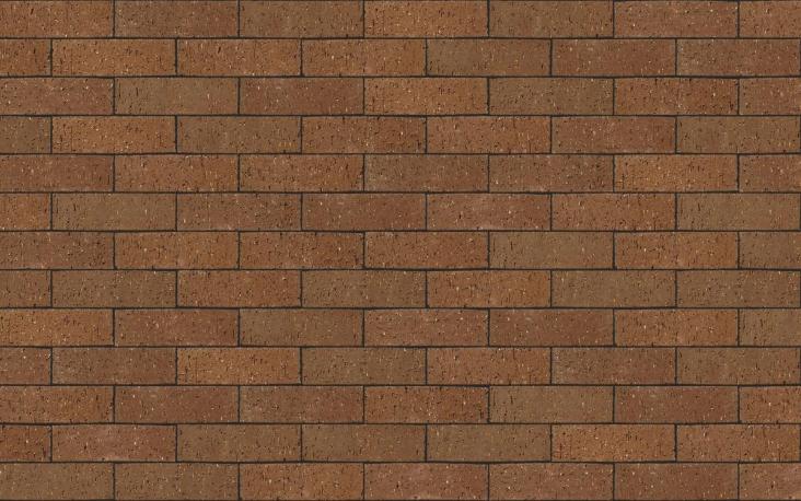 Staffordshire Brown Dragfaced