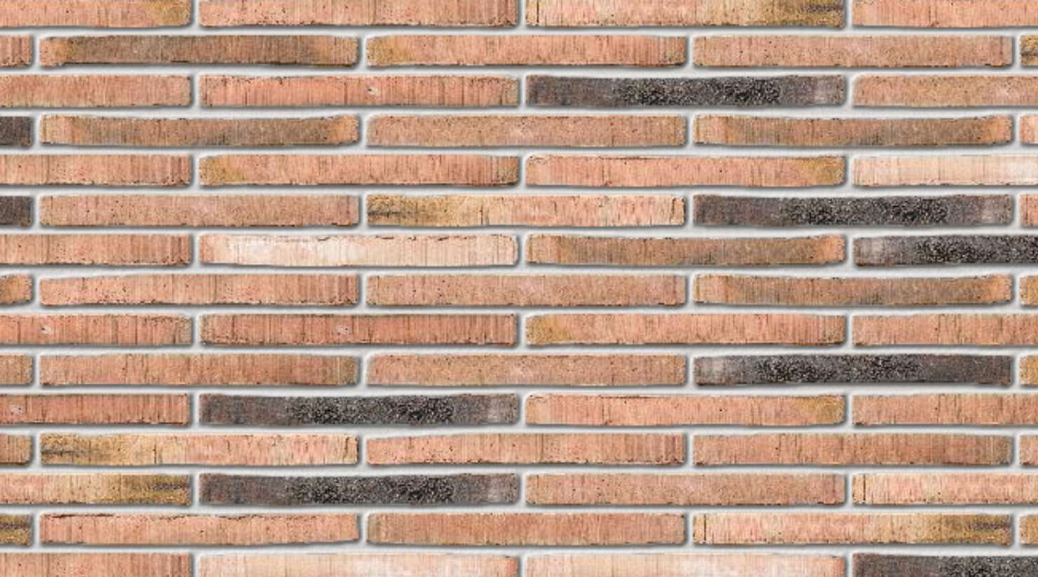 Roman Dignita with White mortar