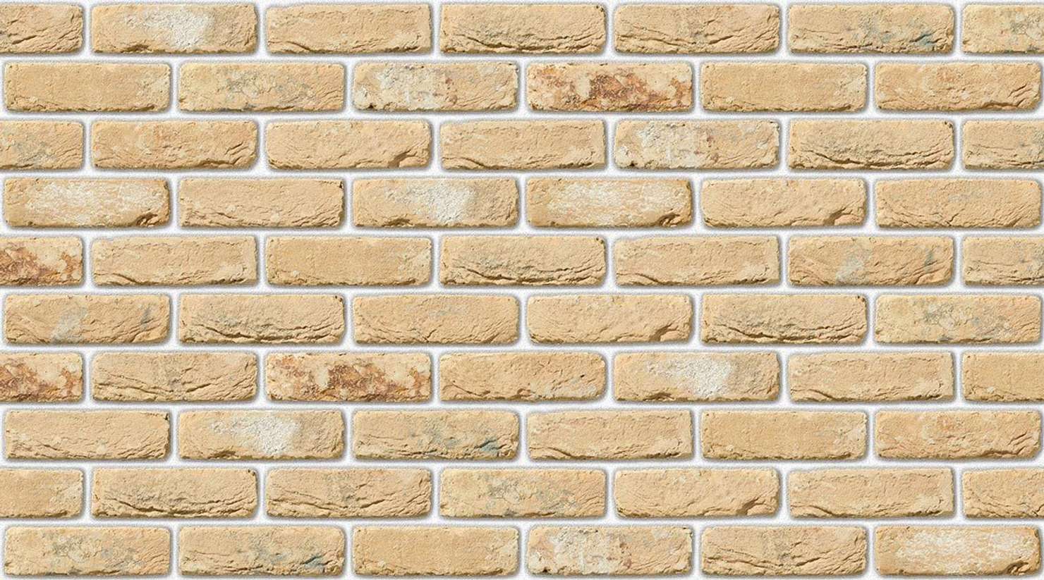 Oude Kuststeen with White mortar