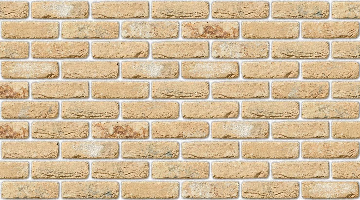 Oude Kuststeen with White mortar