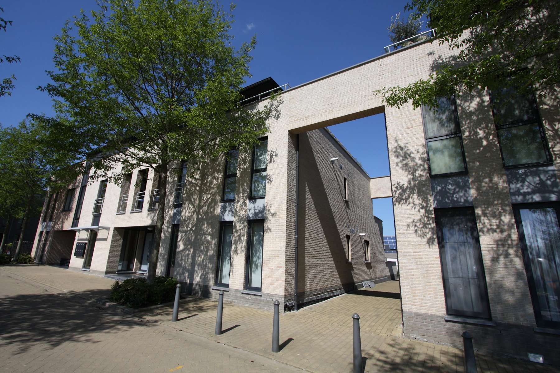 Lindebloem application 3