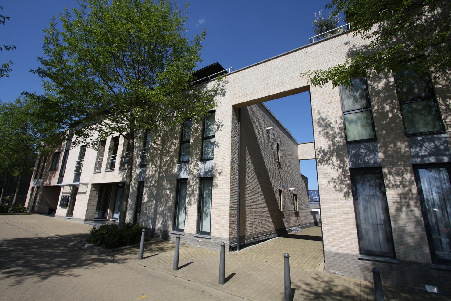 Lindebloem application 3