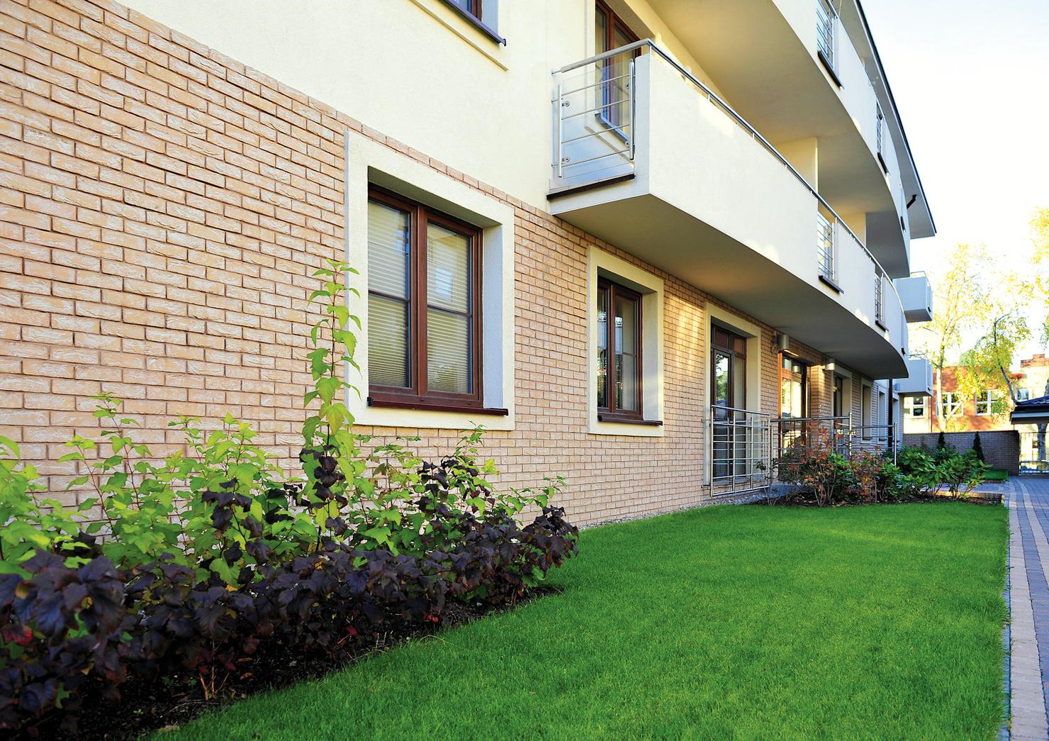 Lindebloem application 10