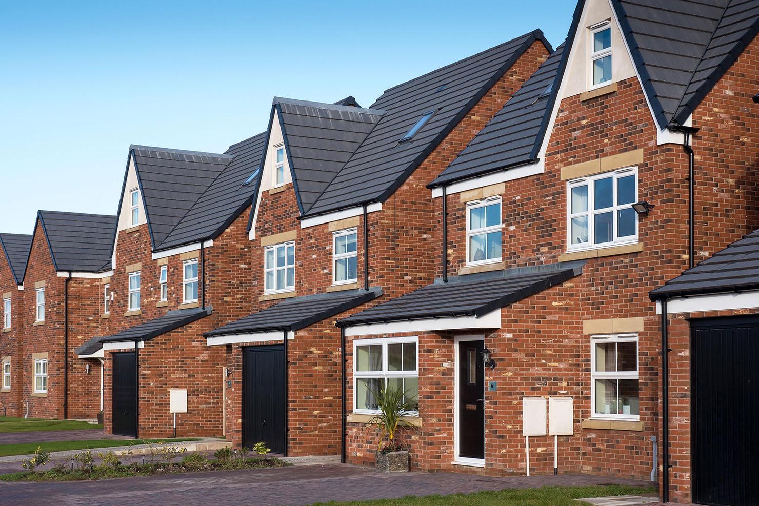 Victorian Mixture application 4