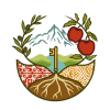 Just Peace Advocates Logo