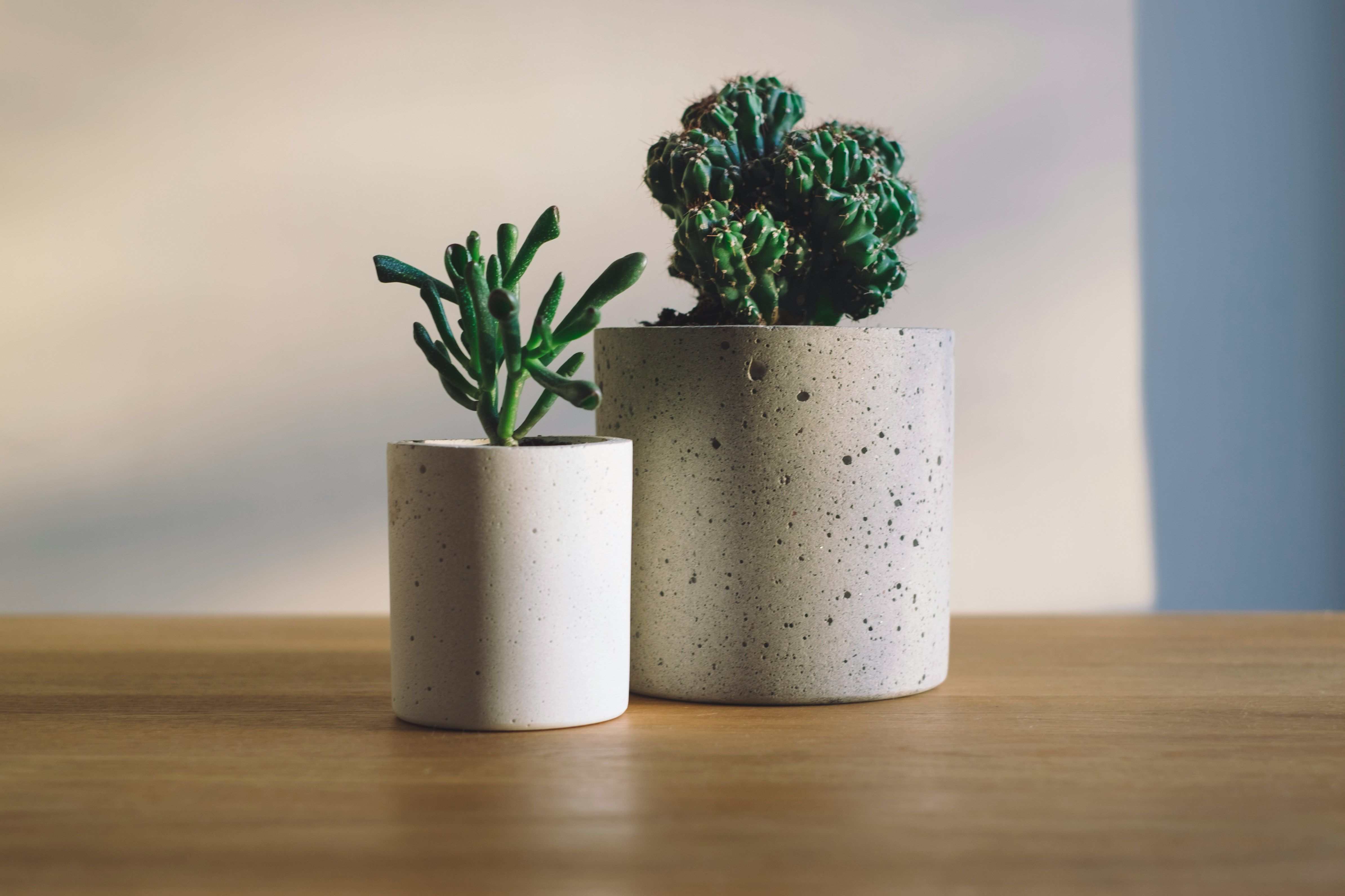 Planter