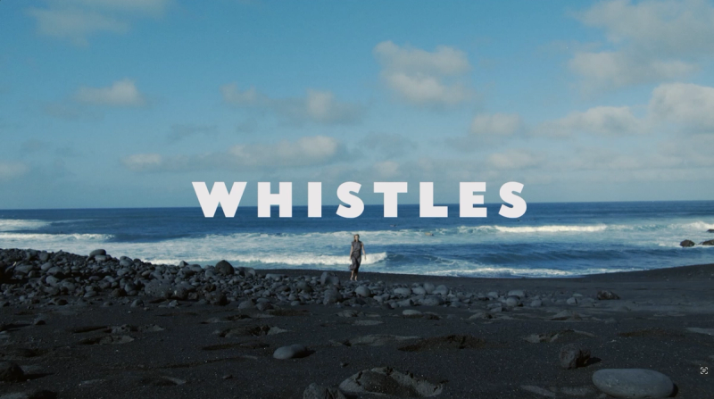 Cover image for Whistles
