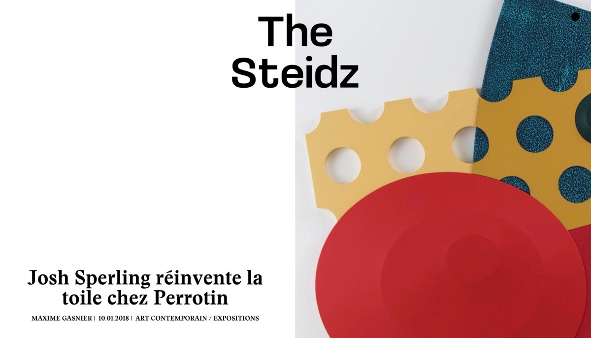 THE STEIDZ