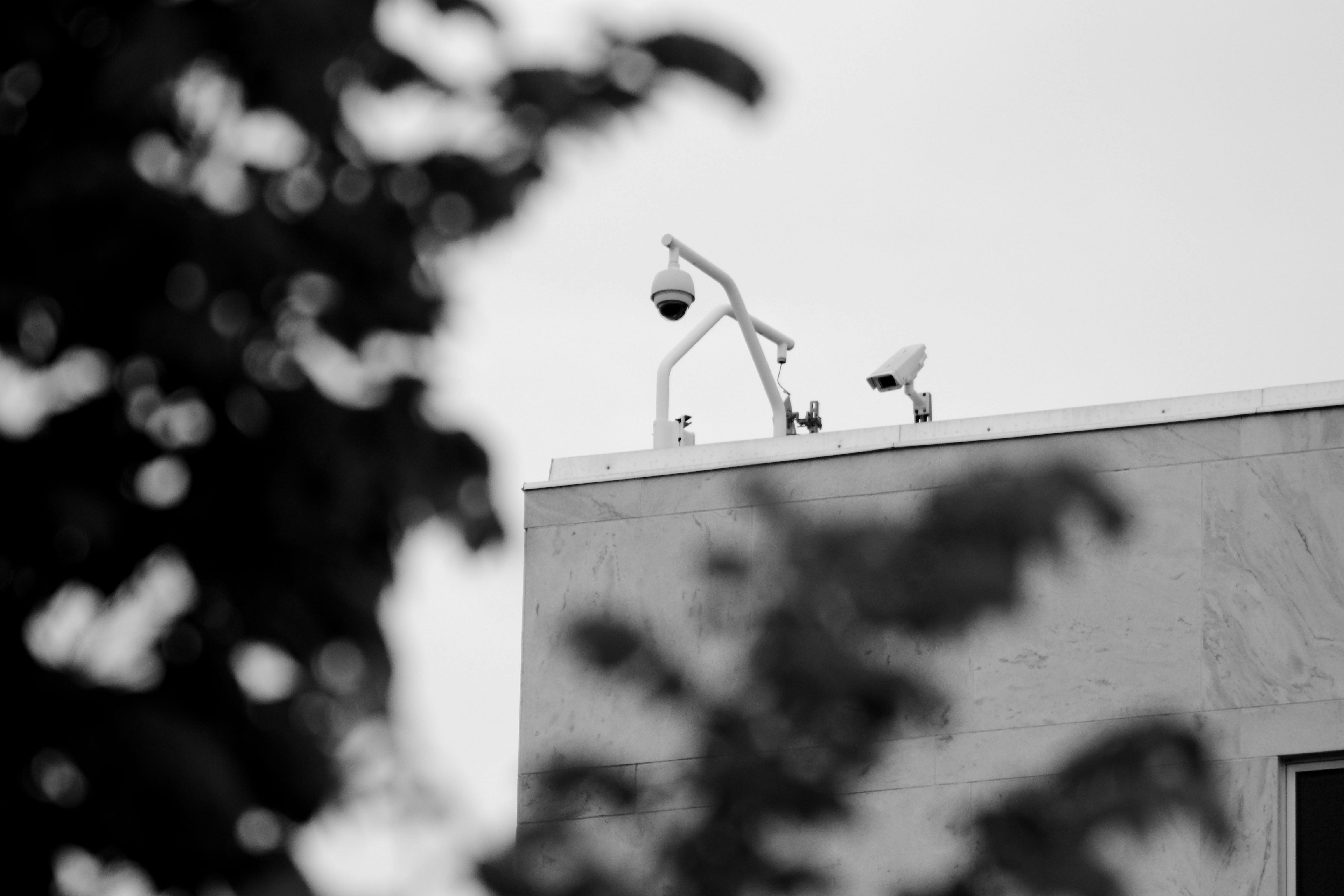 Cover image for To What Extent Do Authoritarian and Liberal Democratic Governments Differ in Affecting the Level of Perceived Public Corruption States?
