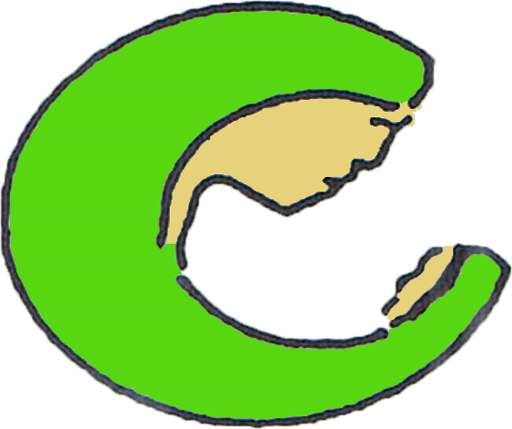 Jesus and Mary Clinical Laboratory and Drug Test Center logo