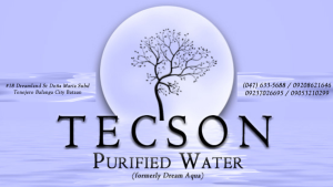 Tecson Purified Water Station logo