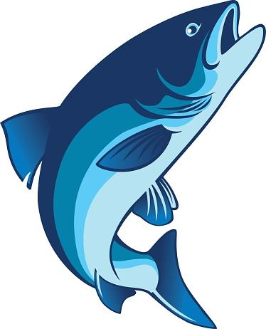 Blue Salmon Marine Services logo
