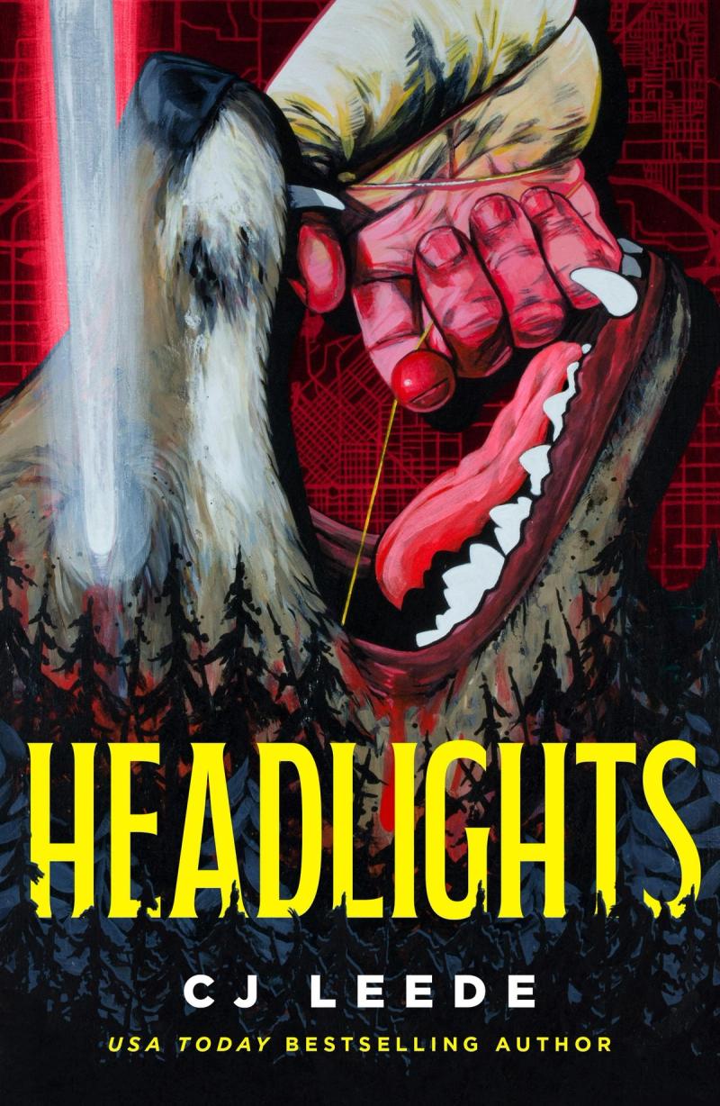 Headlights book cover