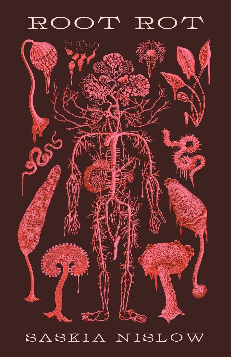 Root Rot book cover