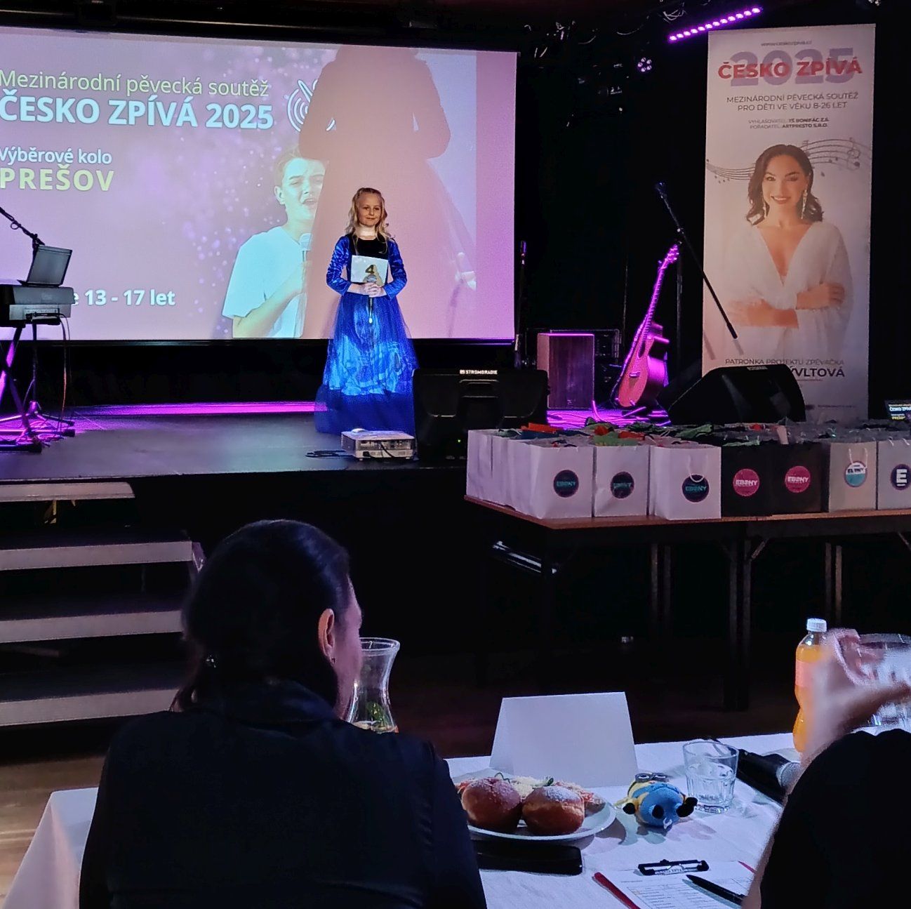 Súťaž v populárnom speve Česko zpívá 4.4. 2025