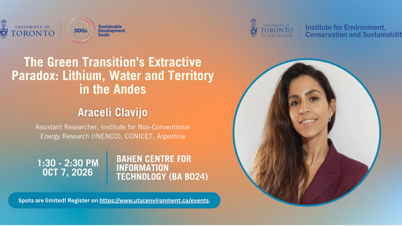 The Green Transition's Extractive Paradox: Lithium, Water and Territory in the Andes