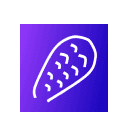 Castor