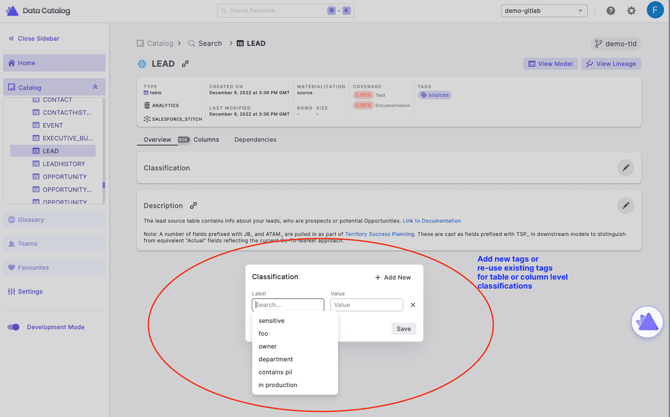 Paradime Docs - working with meta-tags and classifications