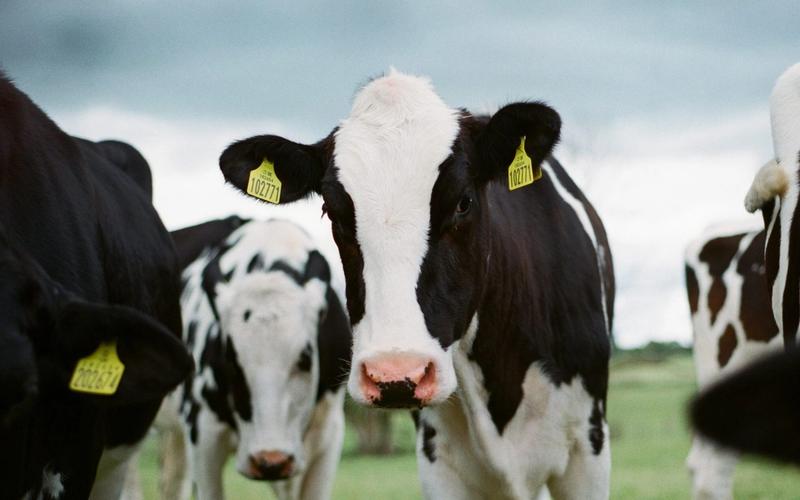 Auckland BioSciences: Empowering Global Health from a Kiwi Lab