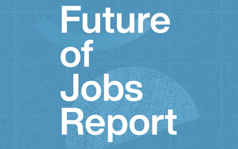 World Economic Forum 2025 Future of Jobs Report