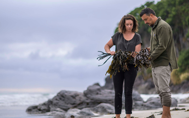 AgriSea NZ: Harnessing Seaweed to Reimagine Agriculture