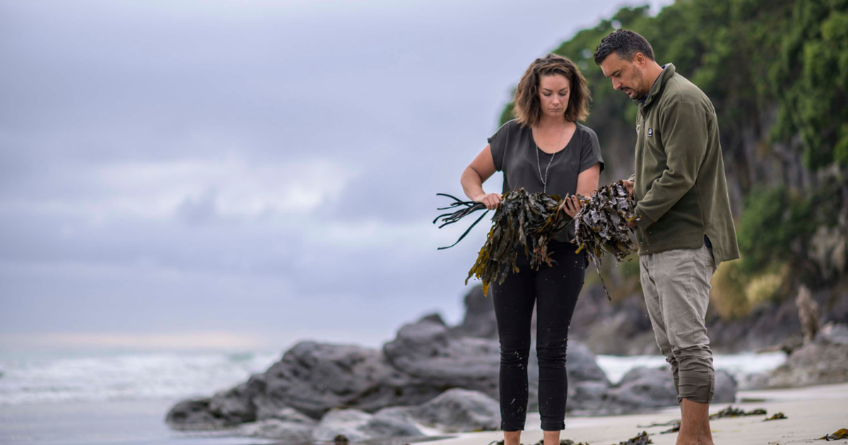 AgriSea NZ: Harnessing Seaweed to Reimagine Agriculture